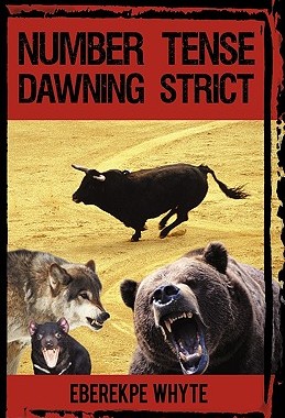 【预售】Number Tense Dawning Strict