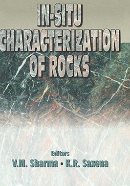 【预售】In Situ Characterization Rocks