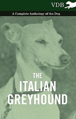 【预售】The Italian Greyhound - A Complete Anthology of the