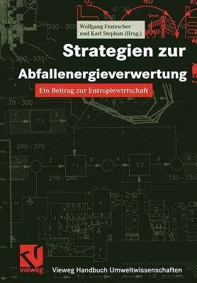 【预售】Strategien Zur Abfallenergieverwertung: Ein Beitrag