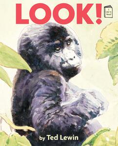 【预售】Look