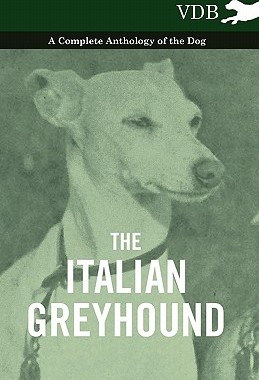 【预售】The Italian Greyhound - A Complete Anthology of the