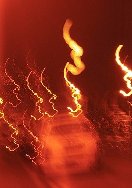 【预售】Anything Anymore Anywhere Spring 2010