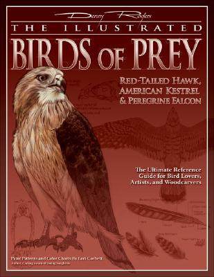 【预售】The Illustrated Birds of Prey: Red-Tailed Hawk