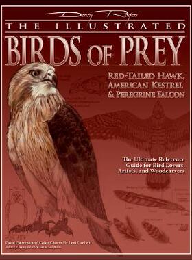 【预售】The Illustrated Birds of Prey: Red-Tailed Hawk
