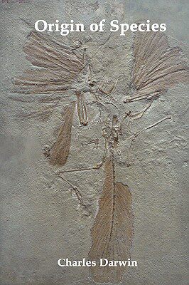 【预售】Origin of Species and the Foundations of the Origin