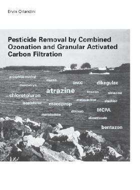 【预售】Pesticide Removal by Combined Ozonation and Granular