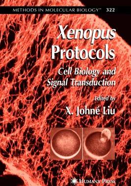 【预售】Xenopus Protocols: Cell Biology and Signal