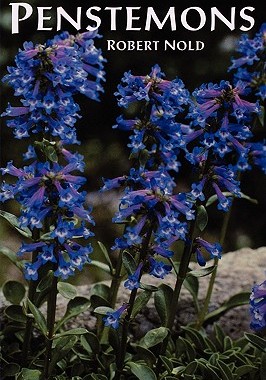 【预售】Penstemons