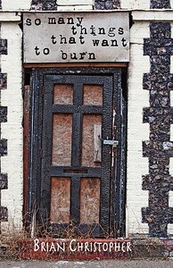 【预售】So Many Things That Want to Burn