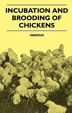 【预售】Incubation and Brooding of Chickens
