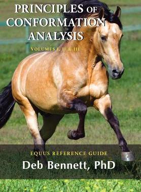 【预售】Principles of Conformation Analysis: Equus Reference