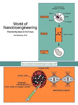 【预售】World of Nanobioengineering: Potential Big Ideas for