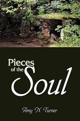 【预售】Pieces of the Soul