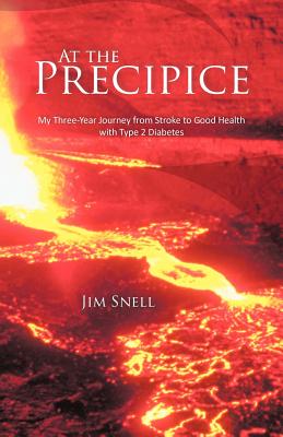 【预售】At the Precipice: My Three-Year Journey from Stroke