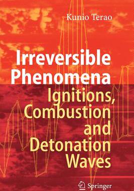 【预售】Irreversible Phenomena: Ignitions, Combustion and