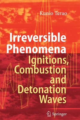 【预售】Irreversible Phenomena: Ignitions, Combustion and