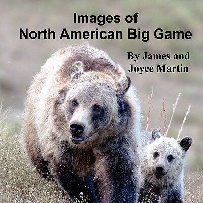 【预售】Images of North American Big Game