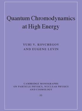 【预售】Quantum Chromodynamics at High Energy