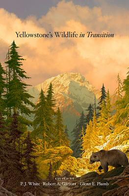【预售】Yellowstone's Wildlife in Transition