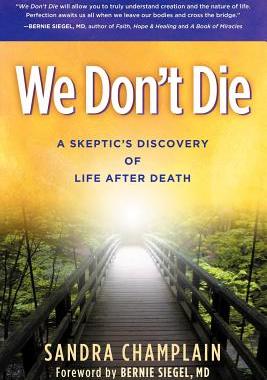 【预售】We Don't Die: A Skeptic's Discovery of Life After