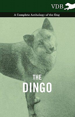 【预售】The Dingo - A Complete Anthology of the Dog -
