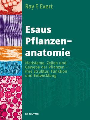 【预售】Esaus Pflanzenanatomie: Meristeme, Zellen Und Gewebe