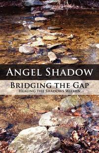 the Bridging Gap Healing Within Shadows 预售