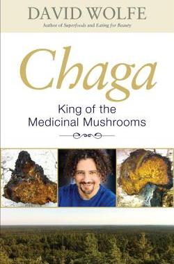 【预售】Chaga: King of the Medicinal Mushrooms