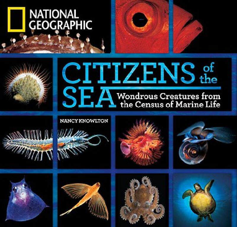 【预售】Citizens of the Sea: Wondrous Creatures from the