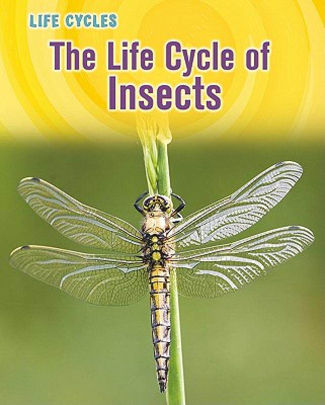 【预售】The Life Cycle of Insects