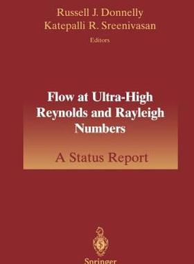 【预售】Flow at Ultra-High Reynolds and Rayleigh Numbers: A