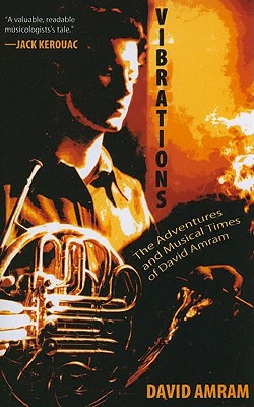 【预售】vibrations: the adventures and musical times of