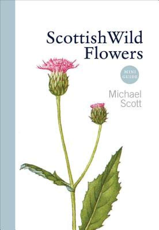 【预售】scottish wild flowers: mini guide