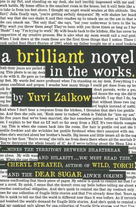 【预售】a brilliant novel in the works