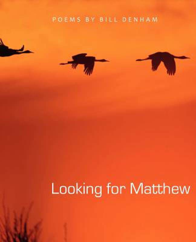 【预售】Looking for Matthew