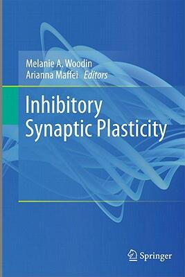 【预售】Inhibitory Synaptic Plasticity