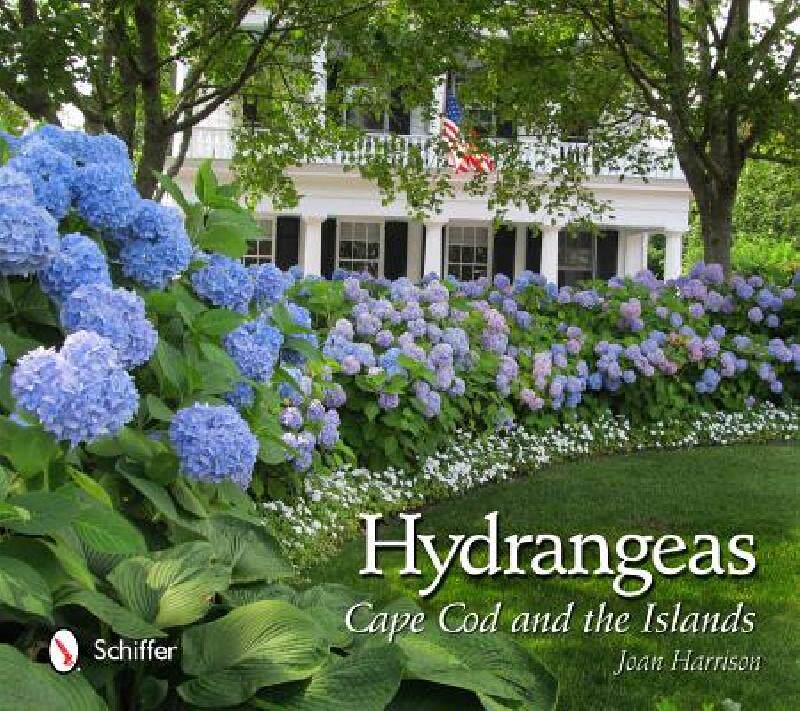 【预售】Hydrangeas: Cape Cod and the Islands