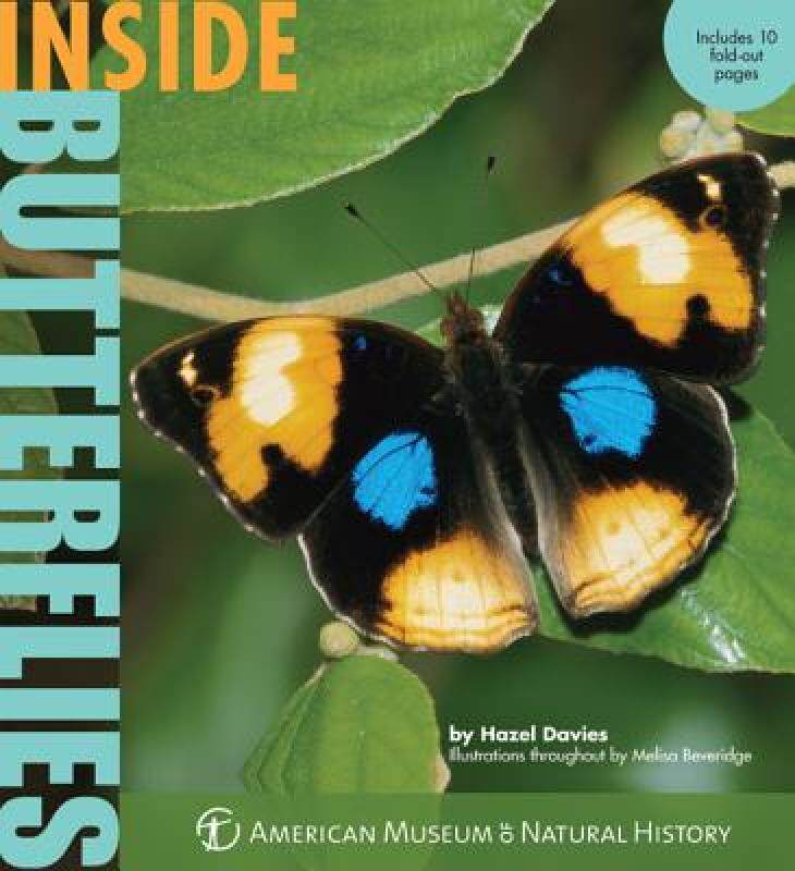 【预售】Inside Butterflies