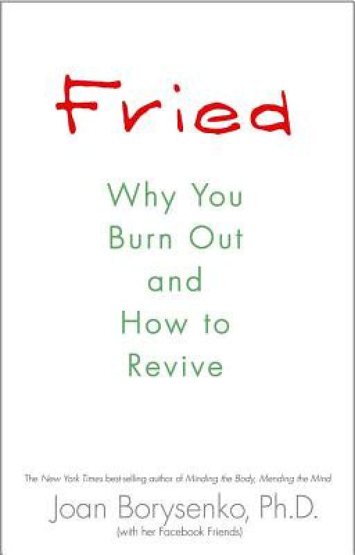 【预售】Fried: Why You Burn Out and How to Revive