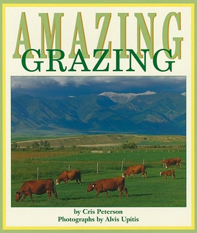 美国库房发货，通常付款后5-8周到货！