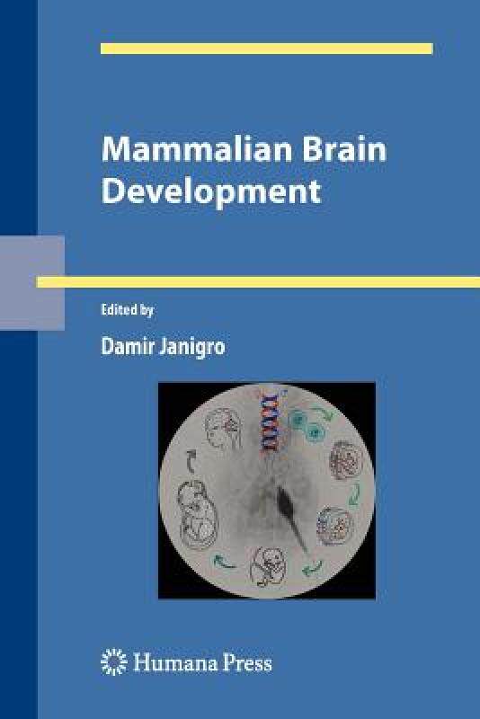 【预售】Mammalian Brain Development