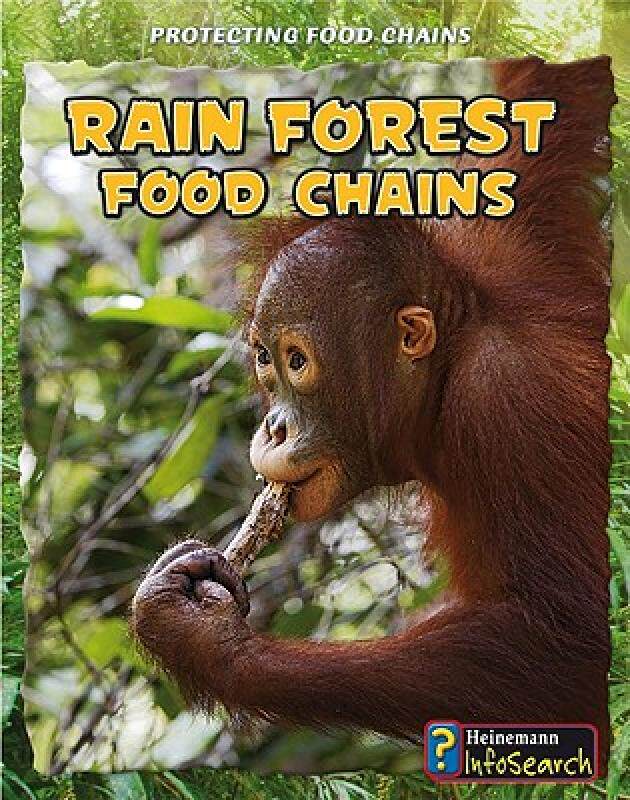 【预售】Rain Forest Food Chains
