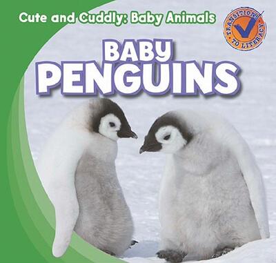 【预售】Baby Penguins