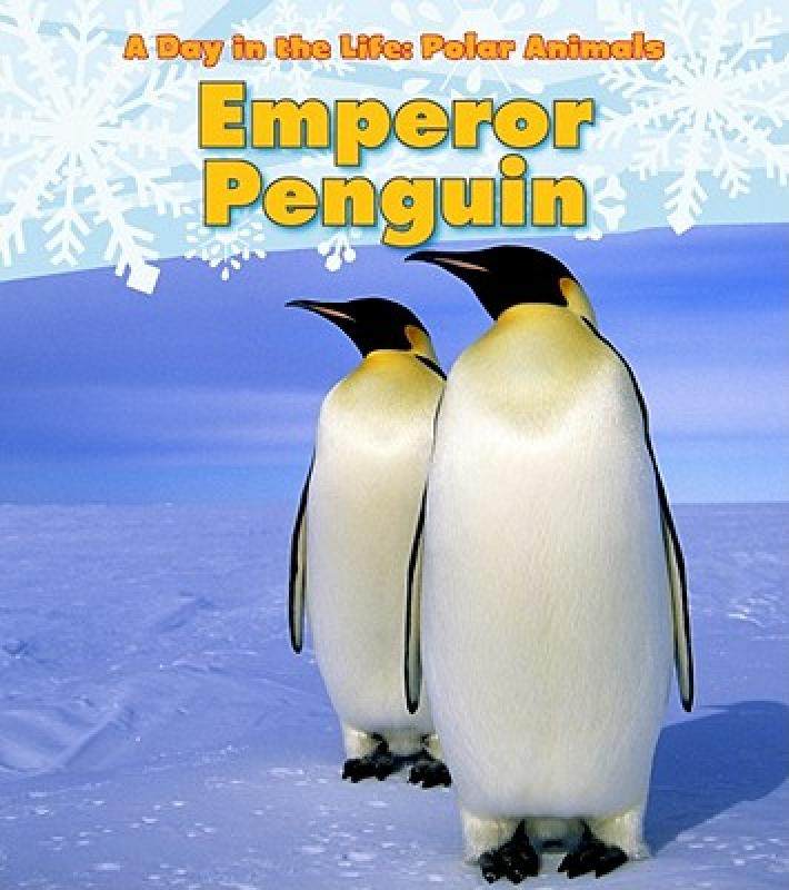 【预售】emperor penguin