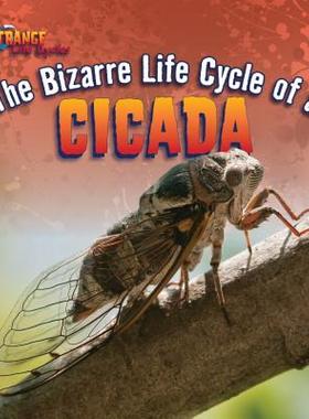 【预售】The Bizarre Life Cycle of a Cicada