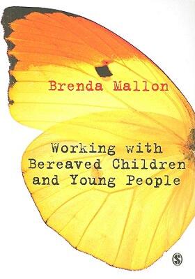 【预售】Working with Bereaved Children and Young People