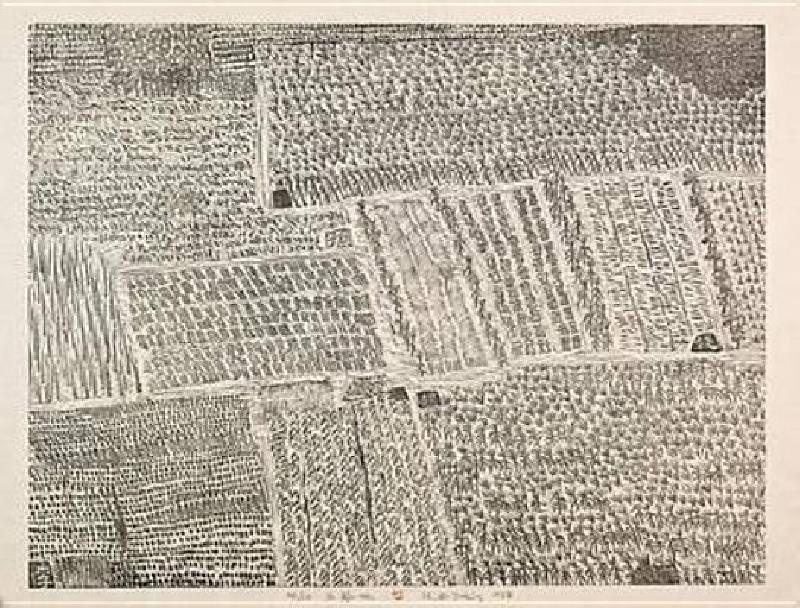 美国库房发货，通常付款后5-8周到货！