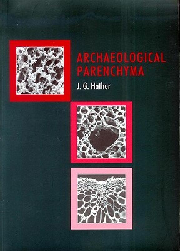 【预售】Arch'ological Parenchyma