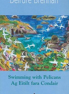 【预售】Swimming with Pelicans/Ag Eitilt Fara Condair